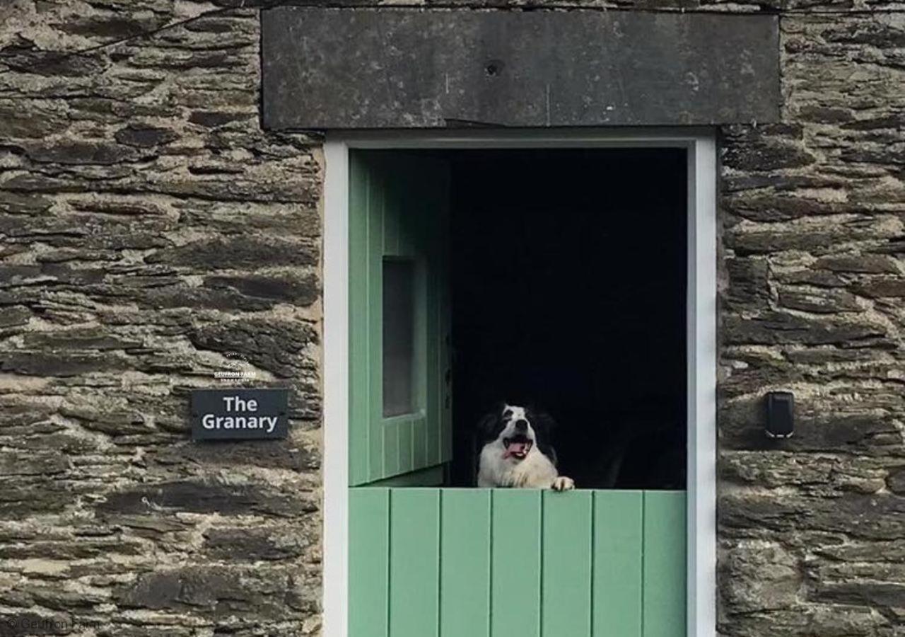 Dog Friendly Cottage, Geufron Farm Near Tywyn Bryn-crug Exteriér fotografie