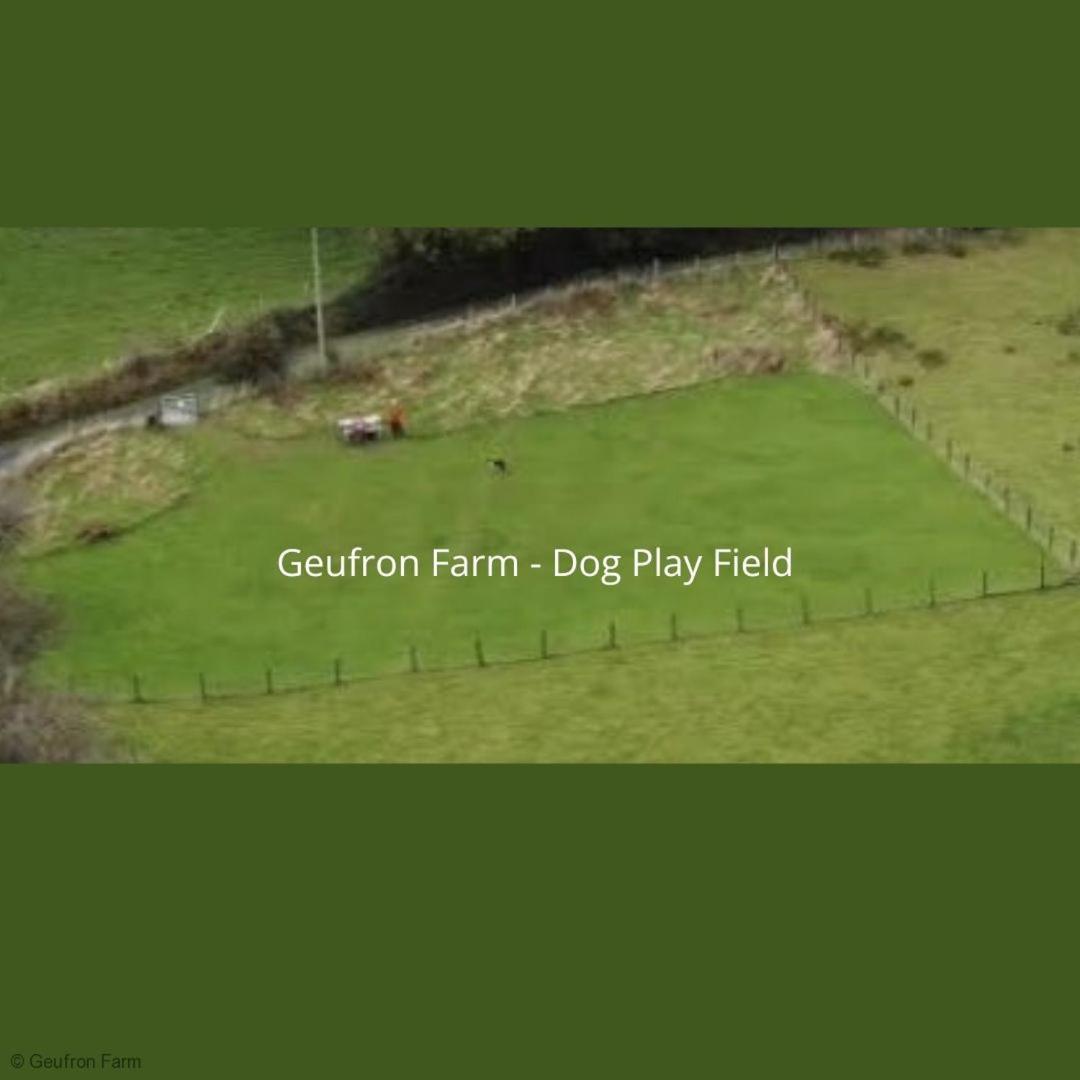 Dog Friendly Cottage, Geufron Farm Near Tywyn Bryn-crug Exteriér fotografie