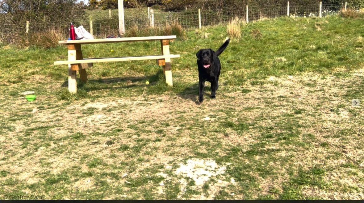 Dog Friendly Cottage, Geufron Farm Near Tywyn Bryn-crug Exteriér fotografie